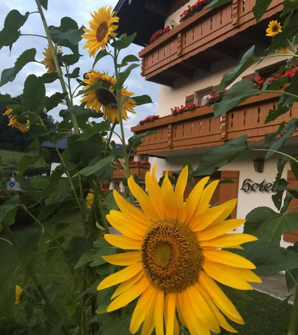 Apartment Ferienwohnungen Weiherbach - Hallenbad Berchtesgaden